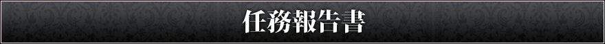 任務報告書